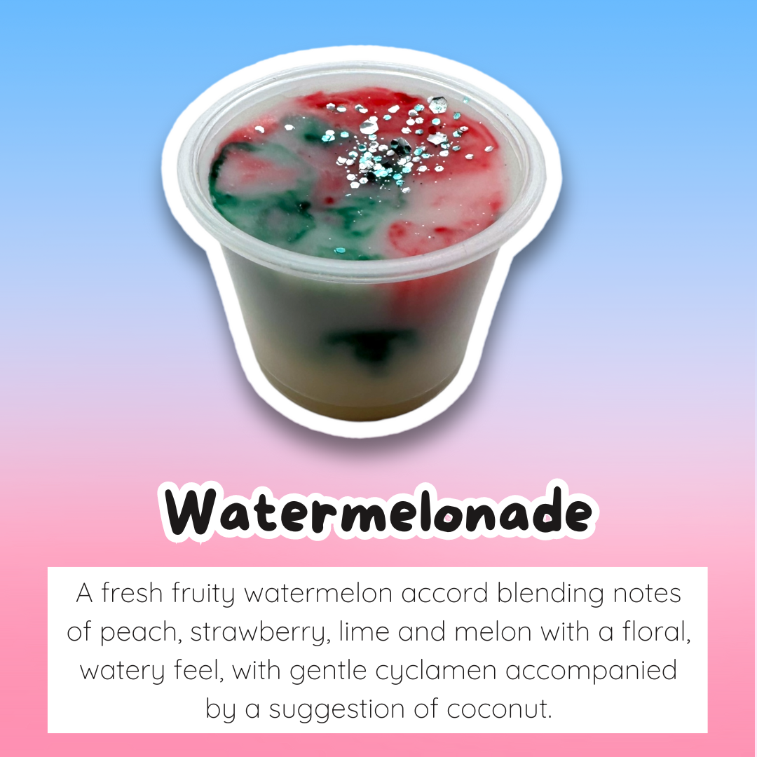 Watermelonade Wax Melt Sample Pot