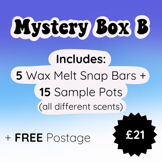 Mystery Box B (20 different wax melt scents)