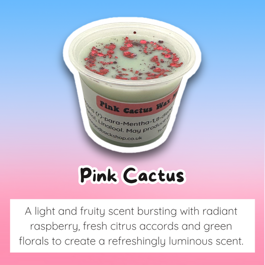 Pink Cactus Wax Melt Sample Pot